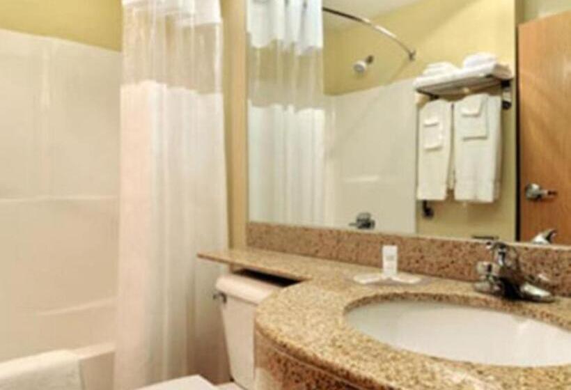 장애인을 위한 스탠다드 룸, Microtel Inn & Suites Huntsville