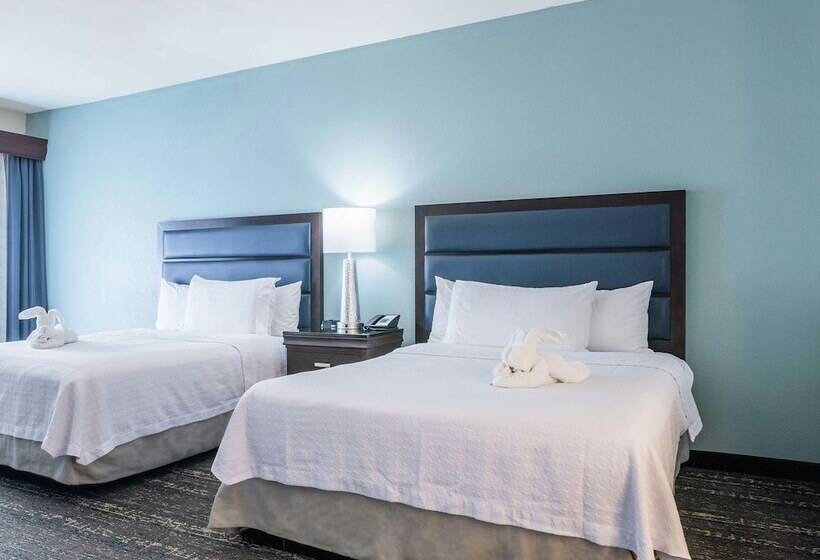 适合残疾人士使用的套间, Homewood Suites By Hilton Miami Airport West