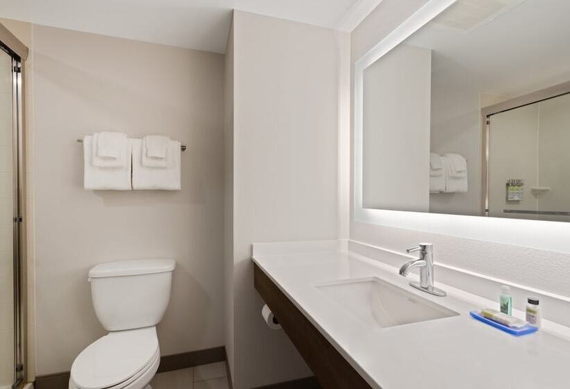 חדר סטנדרט, Holiday Inn Express Hotel & Suites Largo Clearwater, An Ihg