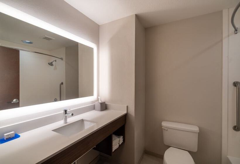 Люкс, Holiday Inn Express Hotel & Suites Talladega, An Ihg