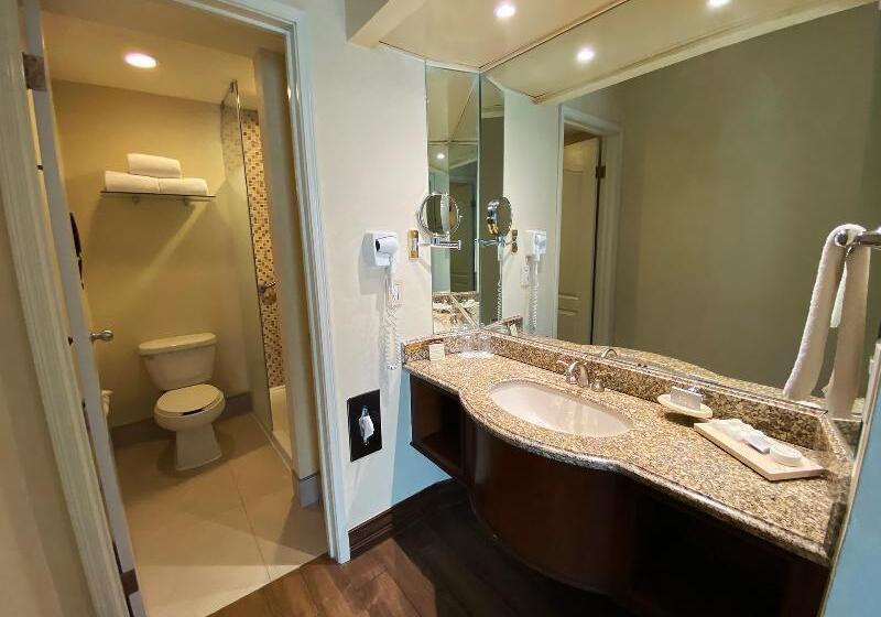 Quarto Standard Cama King, Holiday Inn Express Hotel & Suites Terre Haute, An Ihg