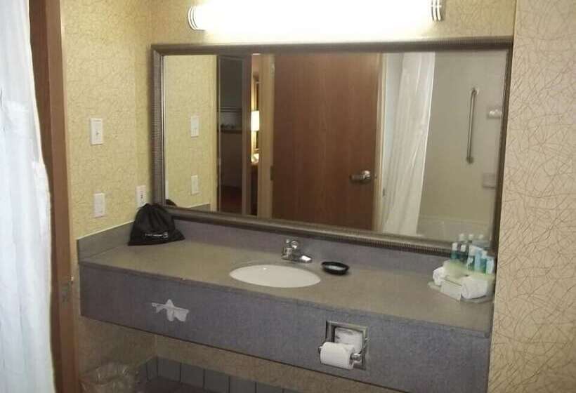 Люкс, Baymont Inn & Suites By Wyndham Findlay