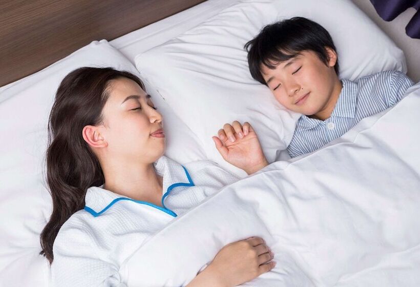 스탠다드 룸, Comfort Hotel Tomakomai