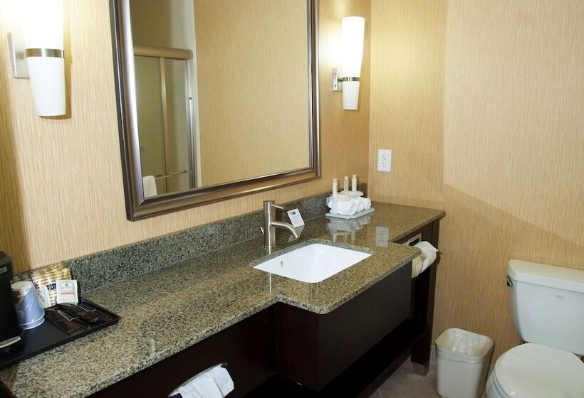 标准间, Holiday Inn Express Hotel & Suites Clemson   University Area, An Ihg