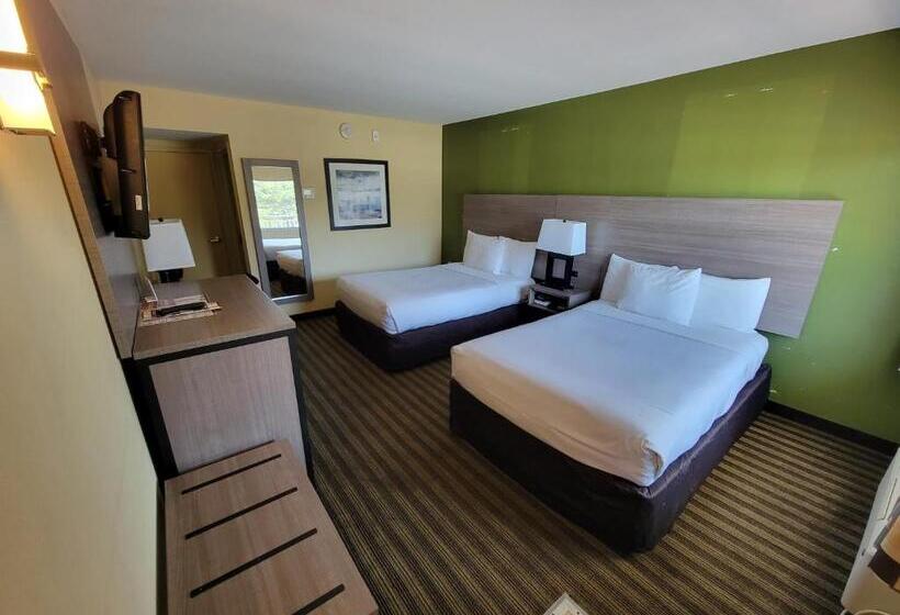 스탠다드 룸 더블 침대 2개, Quality Inn Flamingo