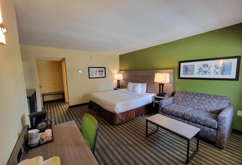 스탠다드 룸 킹사이즈 침대, Quality Inn Flamingo