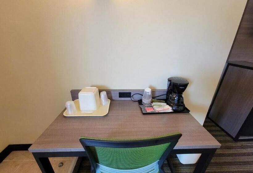 장애인을 위한 킹사이즈 침대 스탠다드 룸, Quality Inn Flamingo