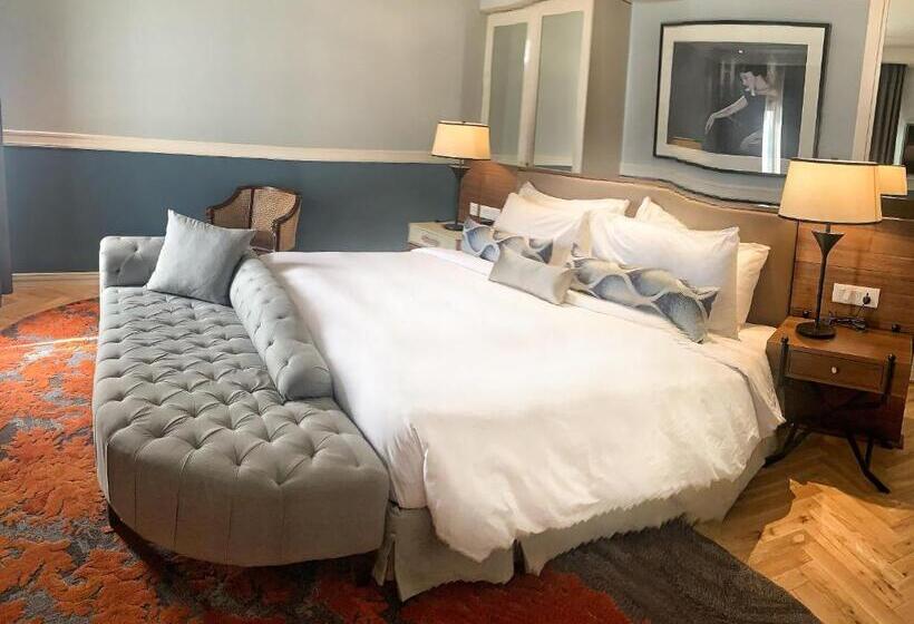 비즈니스룸, Radisson Hotel Shimla