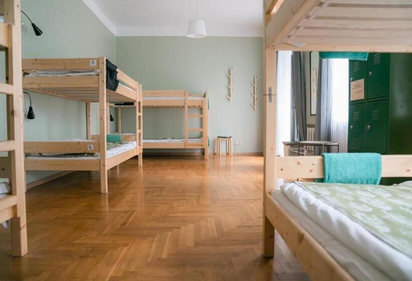 تختخواب در اتاق مشترک, Downtown Forest Hostel & Camping