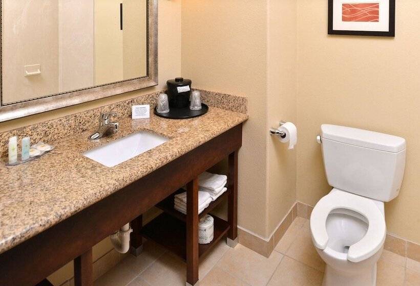 Номер Стандарт, Comfort Inn & Suites Mexia