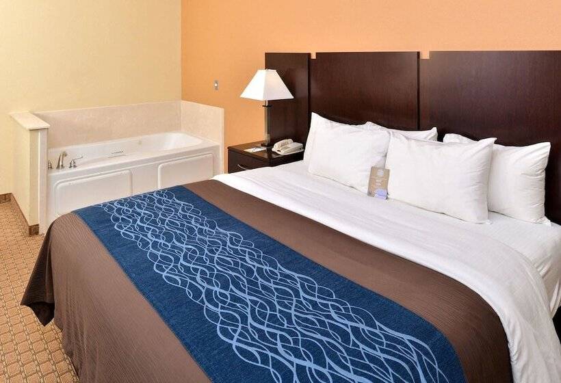 Номер Стандарт, Comfort Inn & Suites Mexia