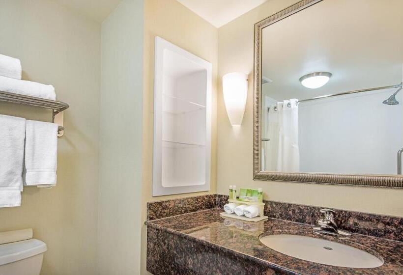 Номер Executive Кровать Кинг, Holiday Inn Express Hotel & Suites Clute Lake Jackson, An Ihg