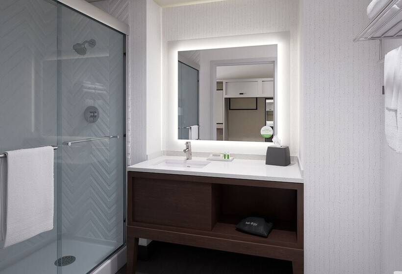 스탠다드 룸, Holiday Inn Odessa, An Ihg