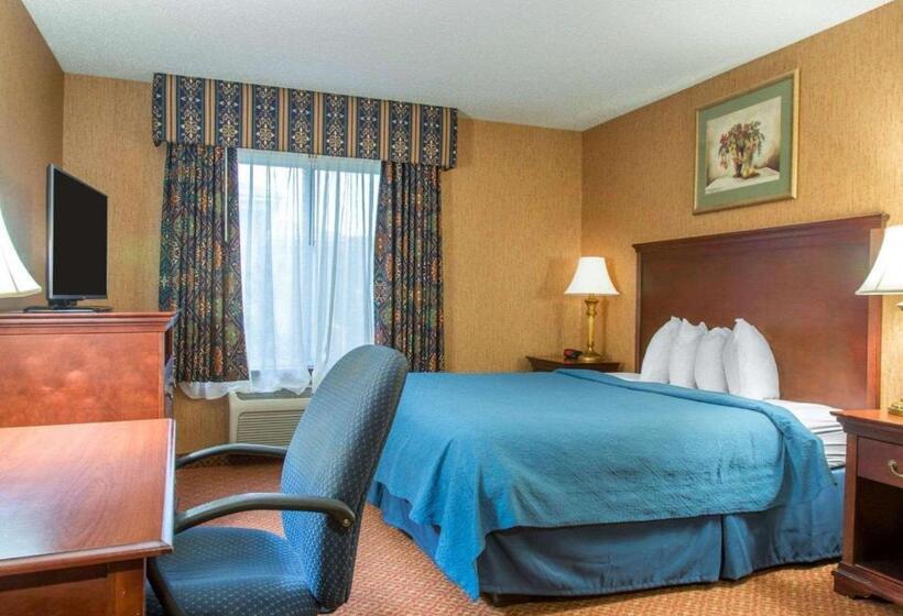 Стандартный Номер Кровать Кинг, Quality Inn & Suites