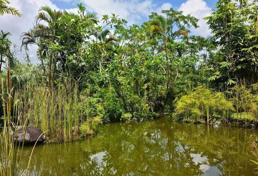 Номер Стандарт Двуспальная Кровать с Видом, Ayurvedagram Bali