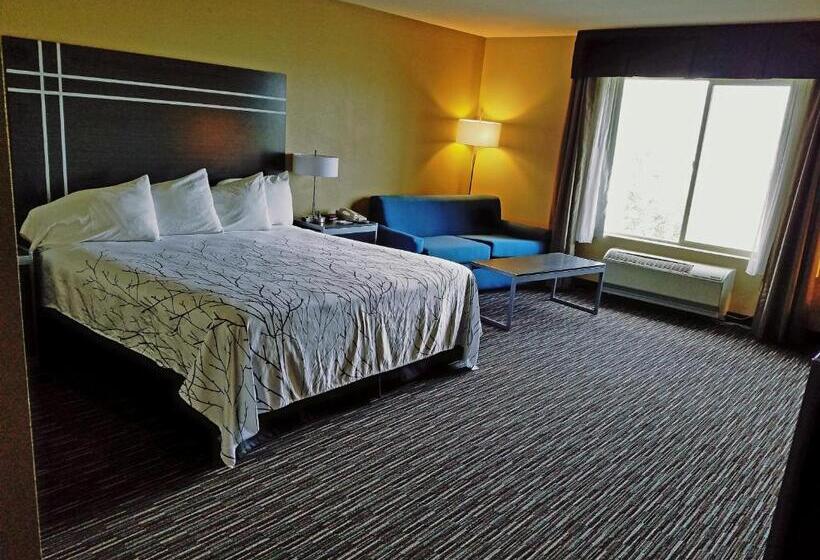 Стандартный Номер Кровать Кинг, Best Western Topaz Lake Inn