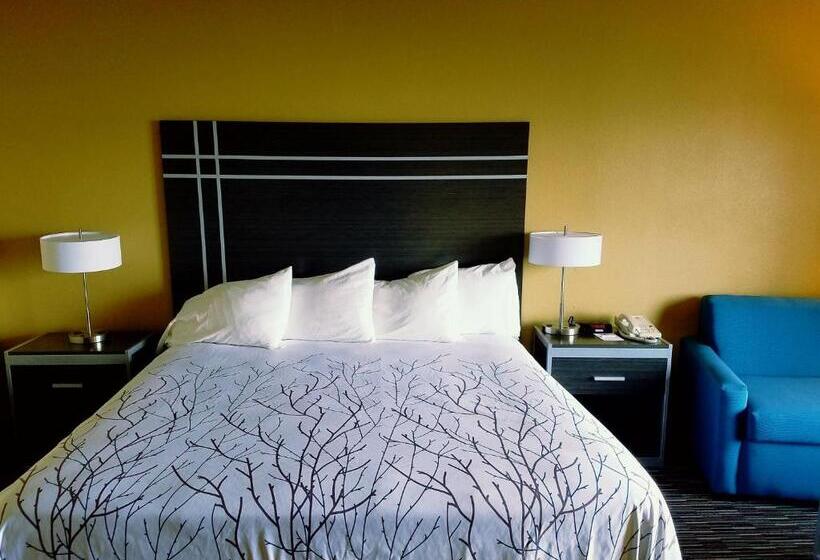 Стандартный Номер Кровать Кинг, Best Western Topaz Lake Inn