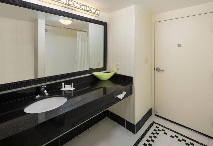 Номер Стандарт, Fairfield Inn And Suites By Marriott Conway