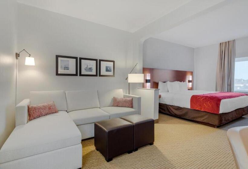 Люкс Кровать Кинг, Comfort Suites La Porte