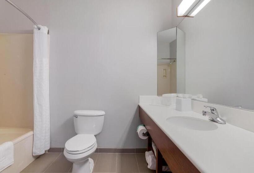 Люкс, Comfort Suites La Porte
