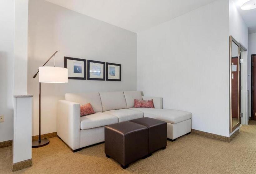 Люкс Адаптированный для Инвалидов, Comfort Suites La Porte
