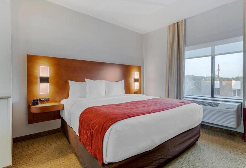 Люкс Адаптированный для Инвалидов, Comfort Suites La Porte
