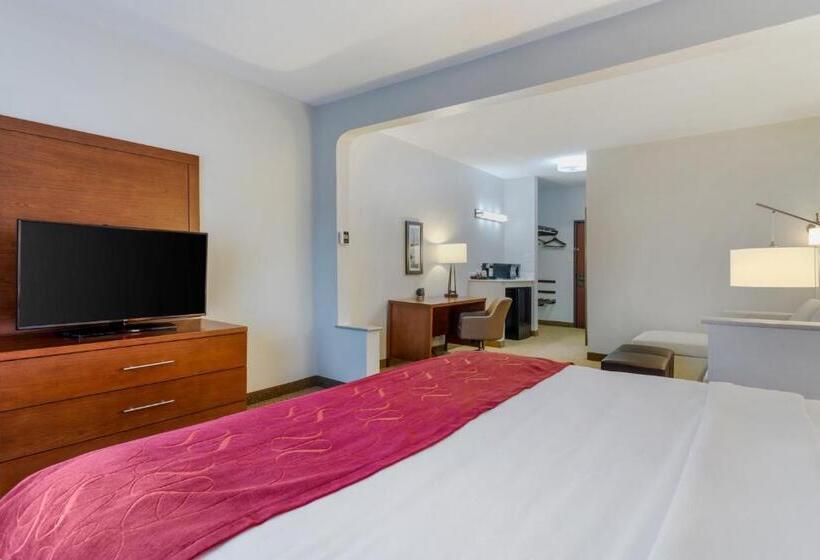 Люкс Кровать Кинг, Comfort Suites La Porte