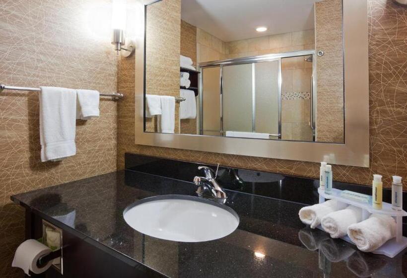 Номер Deluxe Кровать Кинг, Holiday Inn Express And Suites Rochester West Medical Center, An Ihg