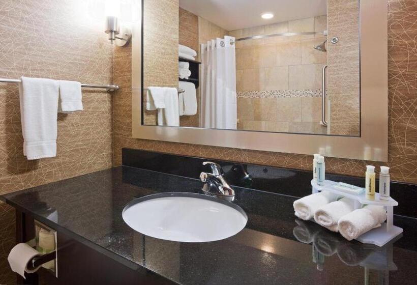 Люкс Адаптированный для Инвалидов, Holiday Inn Express And Suites Rochester West Medical Center, An Ihg