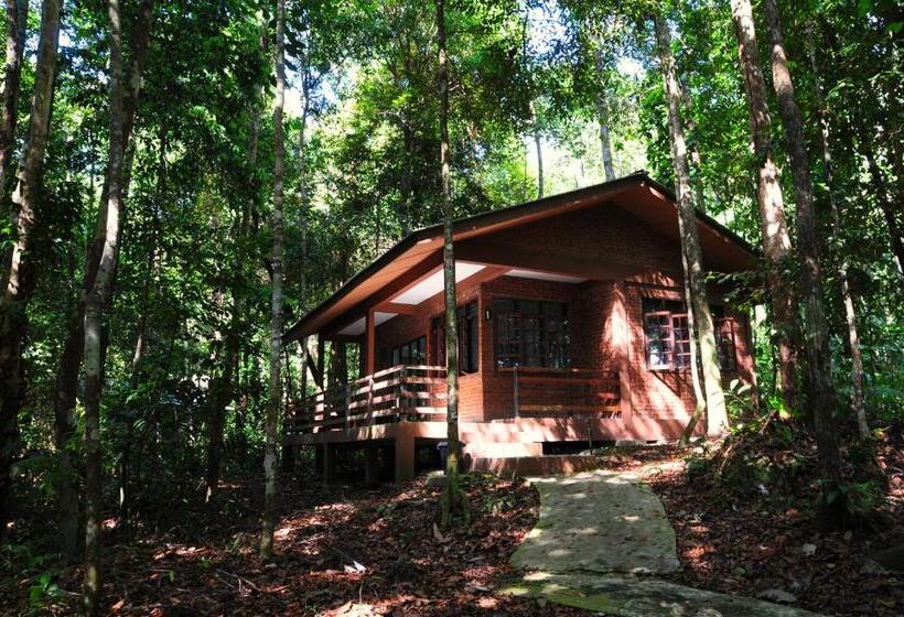 ビラホテル１ベッドルーム, Permai Rainforest Resort