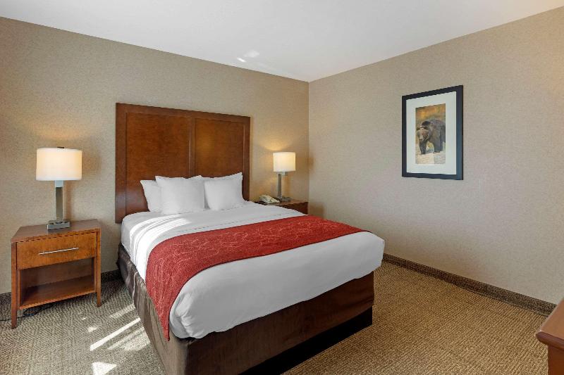 スイート, Staybridge Suites Tyler University Area, An Ihg