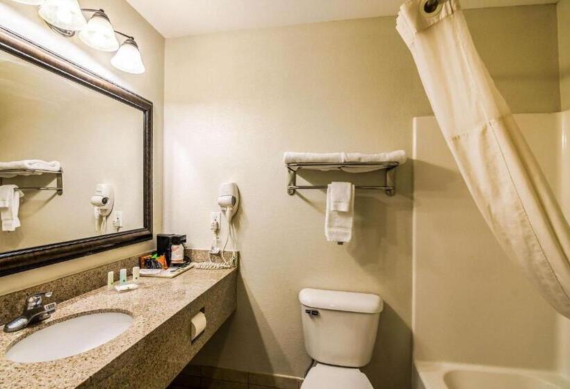 이그제큐티브 룸 킹사이즈 침대, Quality Inn Alexander City