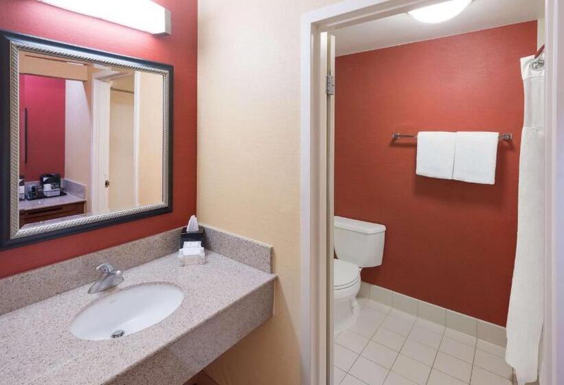 Стандартный Номер Кровать Кинг, Sonesta Select Detroit Auburn Hills