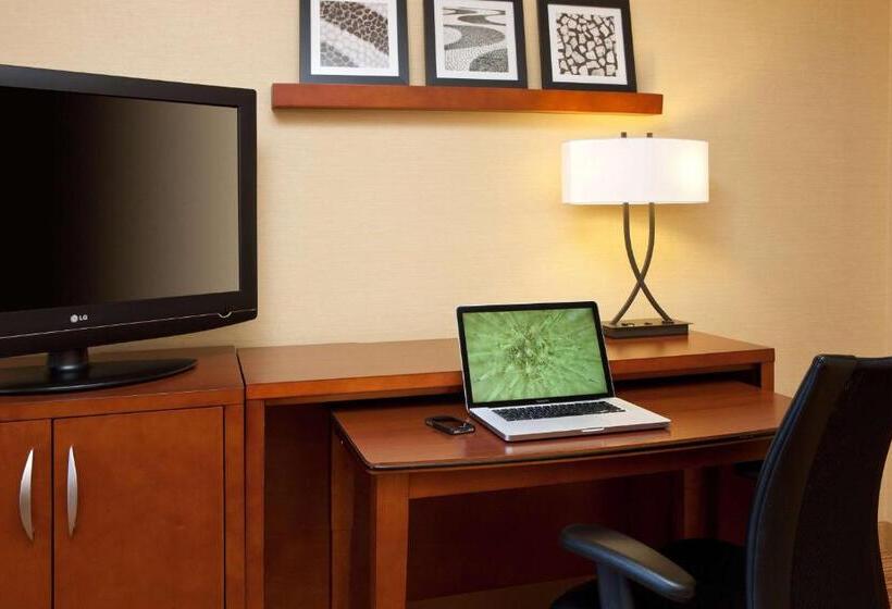 Номер Стандарт Кровать Кинг Адаптированный для Инвалидов, Sonesta Select Detroit Auburn Hills
