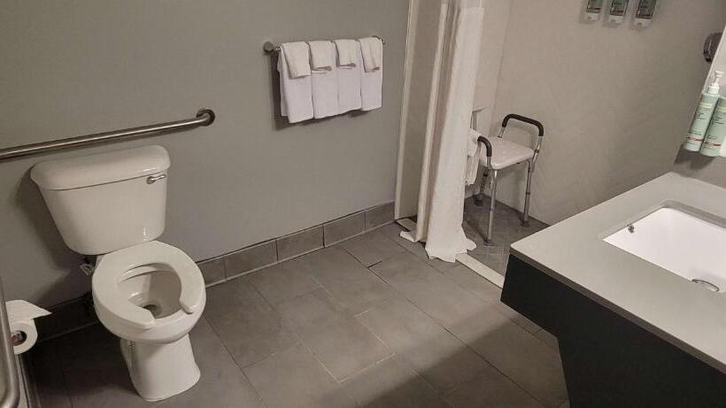장애인을 위한 스탠다드 룸, Best Western Doswell