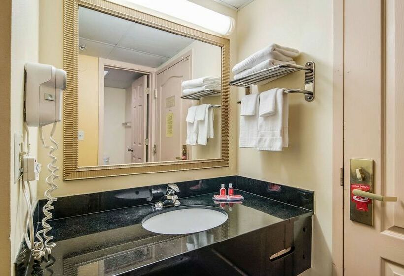 חדר סטנדרט שתי מיטות זוגיות, Econo Lodge At Six Flags