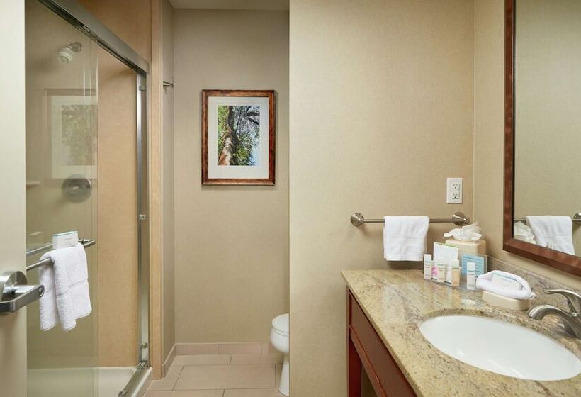 스탠다드 룸, Hampton Inn & Suites Salem, Or