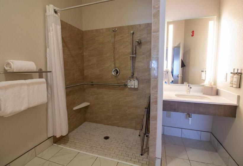 Номер Стандарт Адаптированный для Инвалидов, Holiday Inn Express Leland   Wilmington Area, An Ihg