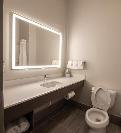 Номер Стандарт Адаптированный для Инвалидов, Holiday Inn Express Leland   Wilmington Area, An Ihg