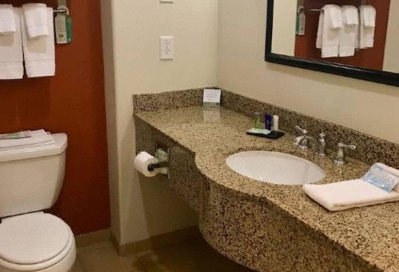 장애인을 위한 스위트, Sleep Inn & Suites Lawton Near Fort Sill