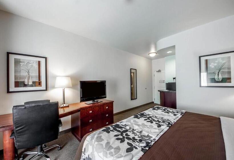 Стандартный Номер Кровать Кинг, Sleep Inn & Suites Lawton Near Fort Sill