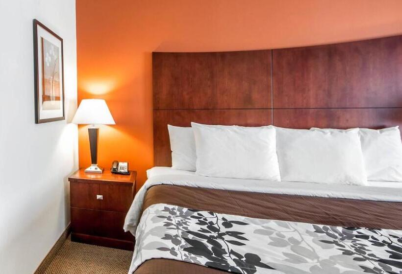 스탠다드 룸 킹사이즈 침대, Sleep Inn & Suites Lawton Near Fort Sill