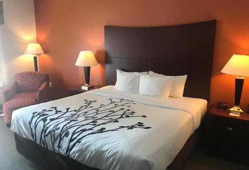 Стандартный Номер Кровать Кинг, Sleep Inn & Suites Lawton Near Fort Sill