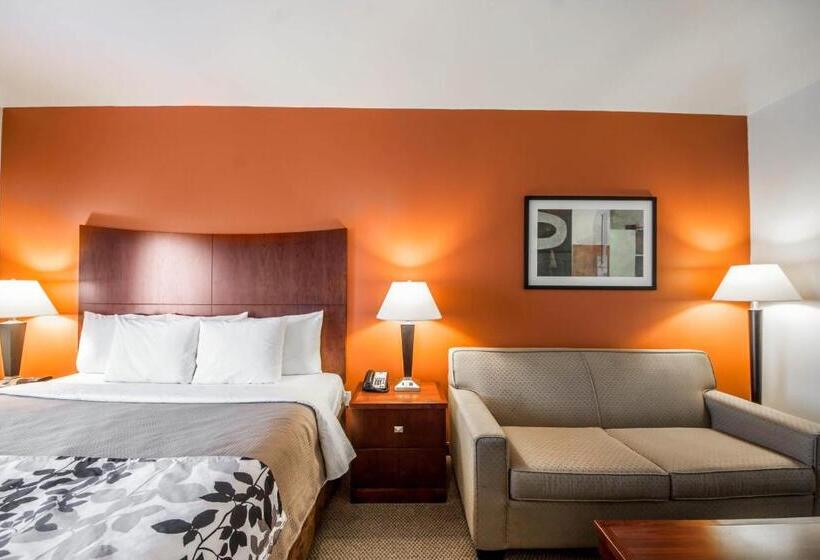스위트 킹사이즈 침대, Sleep Inn & Suites Lawton Near Fort Sill