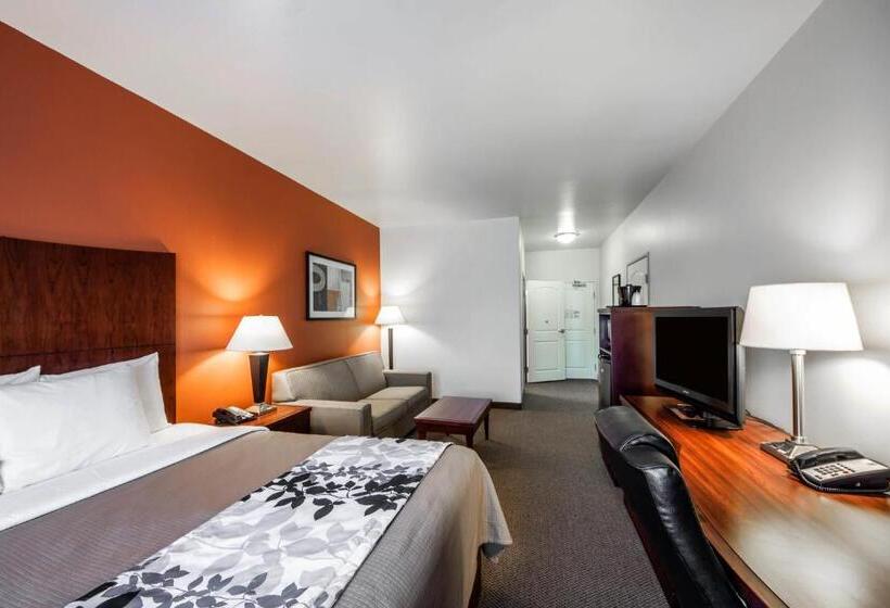 스위트 킹사이즈 침대, Sleep Inn & Suites Lawton Near Fort Sill