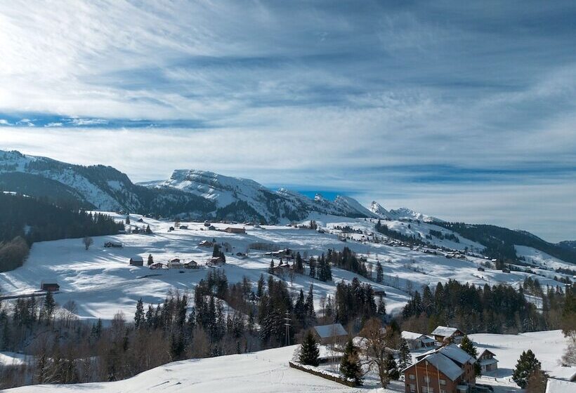 اتاق سوپریور یک تخته, Toggenburg