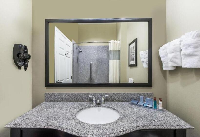 Cameră Deluxe Pat King Size, Wingate By Wyndham Lake Charles Casino Area