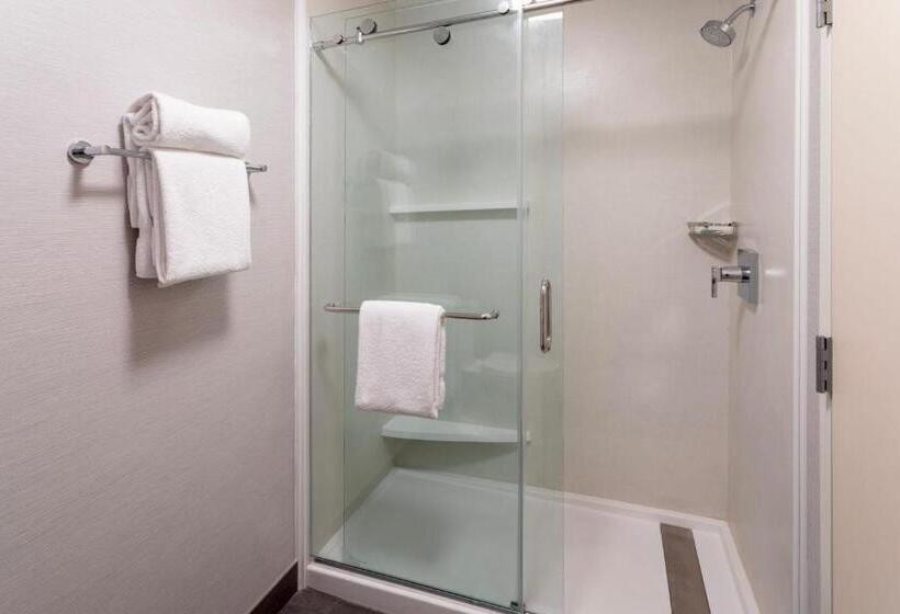 Номер Стандарт, Courtyard Minneapolis St. Paul/roseville