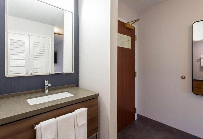 Номер Стандарт Кровать Кинг Адаптированный для Инвалидов, Courtyard Minneapolis St. Paul/roseville