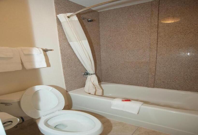 חדר סטנדרט עם מיטת קינג, Econo Lodge